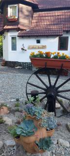 La cabana bunicului - Sibiu - 0