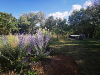 Le Moulin de Villiers - 6