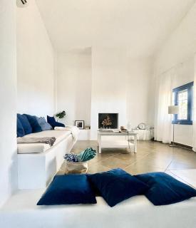 Gorgeous private Villa with sea view! - Andros - 1