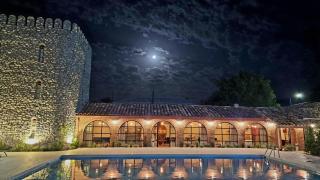 Giorgi Ushikishvilis Chateau-Marani - Akhmeta - 6