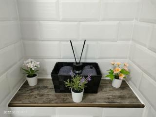 Lavanda Studio - Braşov - 8