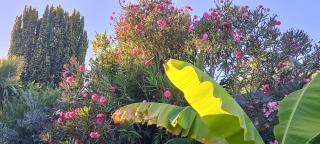 Maison Cocooning, bord de Sèvre Nantaise - 8