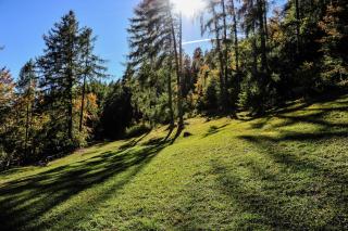Hotel Ludwigshof & Luvina - Truden - 2