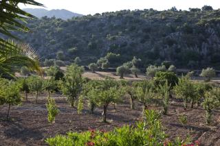 L’Hermitage Hotel & Spa - Orient - 3