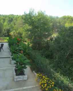 Apartments with parking space Sutivan, Brac - 747 - 4