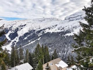 Studio rénové · Sud avec balcon · Parking couvert · Hameau de Flaine - FR-1-425-121 - 2