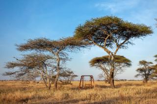 Mawe Tented Camp - Serengeti - 3