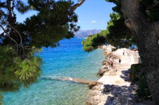 Studio Promajna 2592a - 7