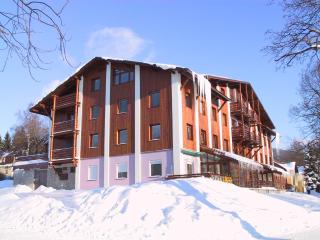 Apartement Hrebenka - Harrachov - 6