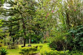Naro Moru River Lodge - Naro Moru - 2