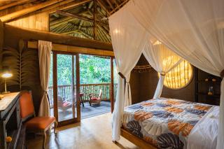 Bamboo Turtles Ecolodge - Ubud - 9