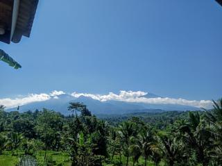 Tetebatu Mountain View Homestay - Tetebatu - 9