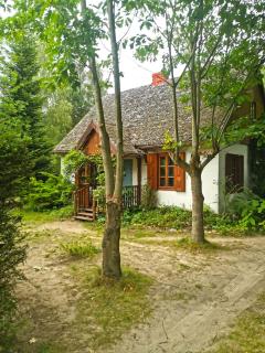 AŻ POD LAS - Zbiczno - 9