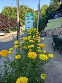 Apartments Kalistos - Star Dojran - 8