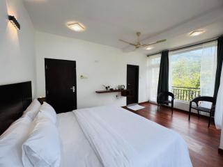 Dream Stay Green - 1