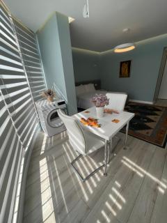 Comfort Apartment In City Center - Tirana - 1