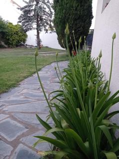 LA CALLEJA Apart ,Departamento Con vista al Jardin - Olavarría - 3