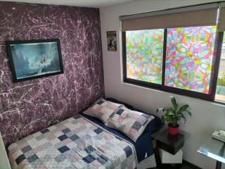 Departamento Entero en el Corazón de la Ciudad - Città del Messico - 5