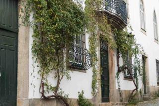 Casa do Visconde - 3