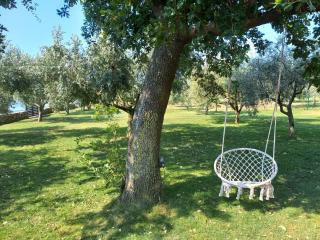 Beach house IVE with jacuzzi, pool, playground and bbq in an olive grove with a beach, Pomer - Istria - Pomer - 1