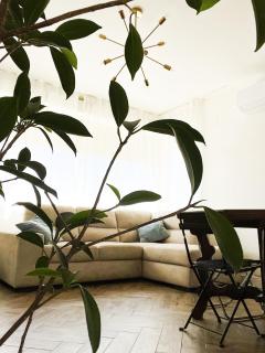 SuitesFlores - Bright and cozy apartment in Verona - 7