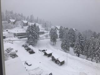 studio tout confort au pied des pistes du lioran - Laveissière - 2