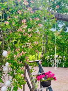 Villa Vintage B&B - 2