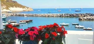 Casa Gastronomo - Procida - 1