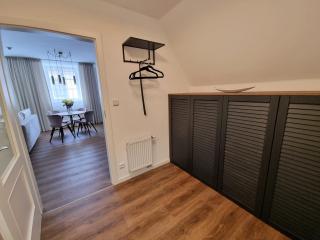 Zelené apartmá v centru města České Budějovice - České Budějovice - 1