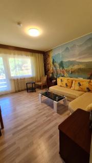 Atina Hotel - Bad Wildbad - 8