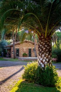 Villaggio I Sorbizzi - Marina di Bibbona - 1