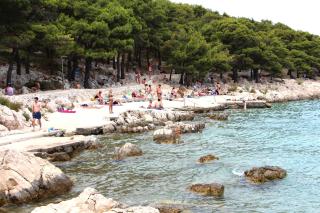 Apartments by the sea Tisno, Murter - 5113 - Tisno - 7