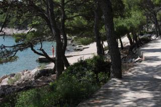 Apartments by the sea Tisno, Murter - 5113 - Tisno - 5