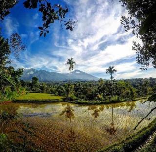 Tetebatu Mountain View Homestay - Tetebatu - 7