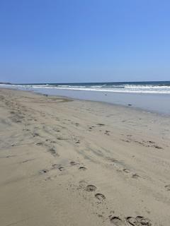 Tritons Place-Half Acre Oceanfront Paradise With Private Pool, Jacuzzi, Fire Pit, Beach Access - 8