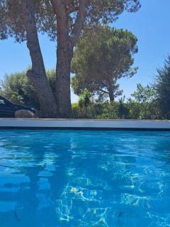 Edith et Jean-Paul - Porto-Vecchio - 7