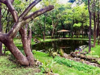 Casa Huitzil - La mejor casa de Malinalco con alberca y jacuzzi climatizados - Malinalco - 4