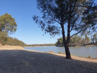 Riversands Rest Accommodation Paringa - Tea Tree Cottage - Renmark - 1