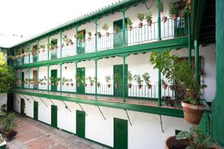 Alcázares Sevilla centro - Siviglia - 5