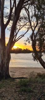 Riversands Rest Accommodation Paringa - Tea Tree Cottage - Renmark - 5