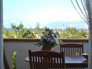 Ibiscus - Scopello - 4