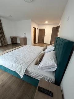 Aparthotel Plevnei 3 - Cluj-Napoca - 3