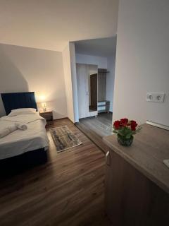Aparthotel Plevnei4 - Cluj-Napoca - 4