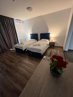 Aparthotel Plevnei4 - Cluj-Napoca - 3