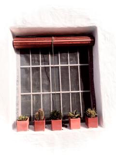 Casa Rural El Fraile- Cabo de Gata - 3