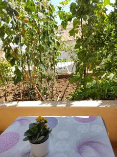 Guesthouse Anna - Dubrovnik - 6