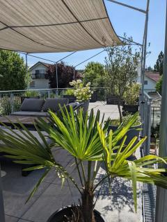 Haus zur Aach Tinyhouse - 9