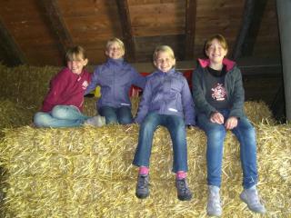 Hinterreith-Hof - Hochfilzen - 1