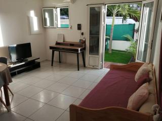 Passiflore Saint paul - 3