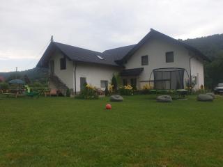 Casa Felicia - Moieciu de Jos - 8